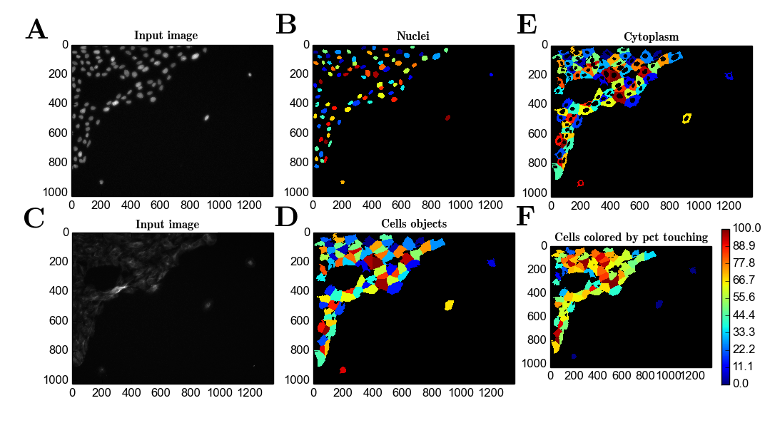 cellprofiler cell painting names